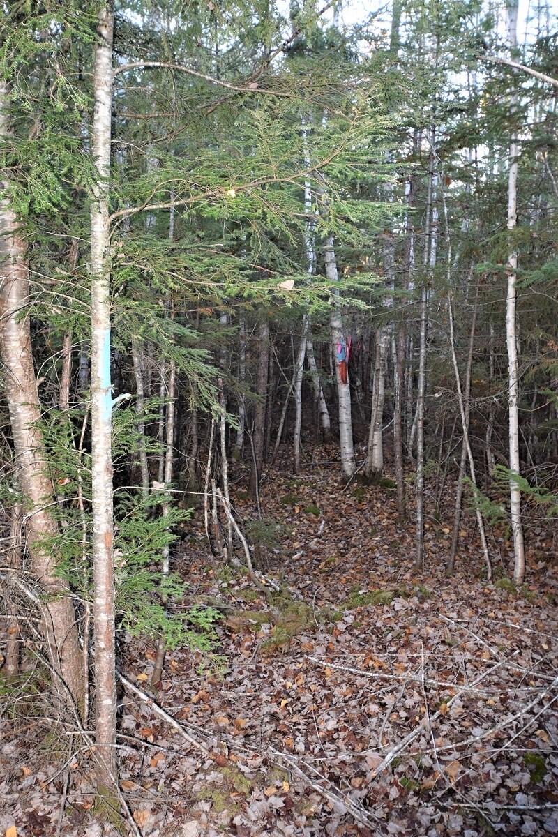 Lot 12 Deer Run Road Lakeville, ME 04487 - Photo 9 of 15 Boundary lines...