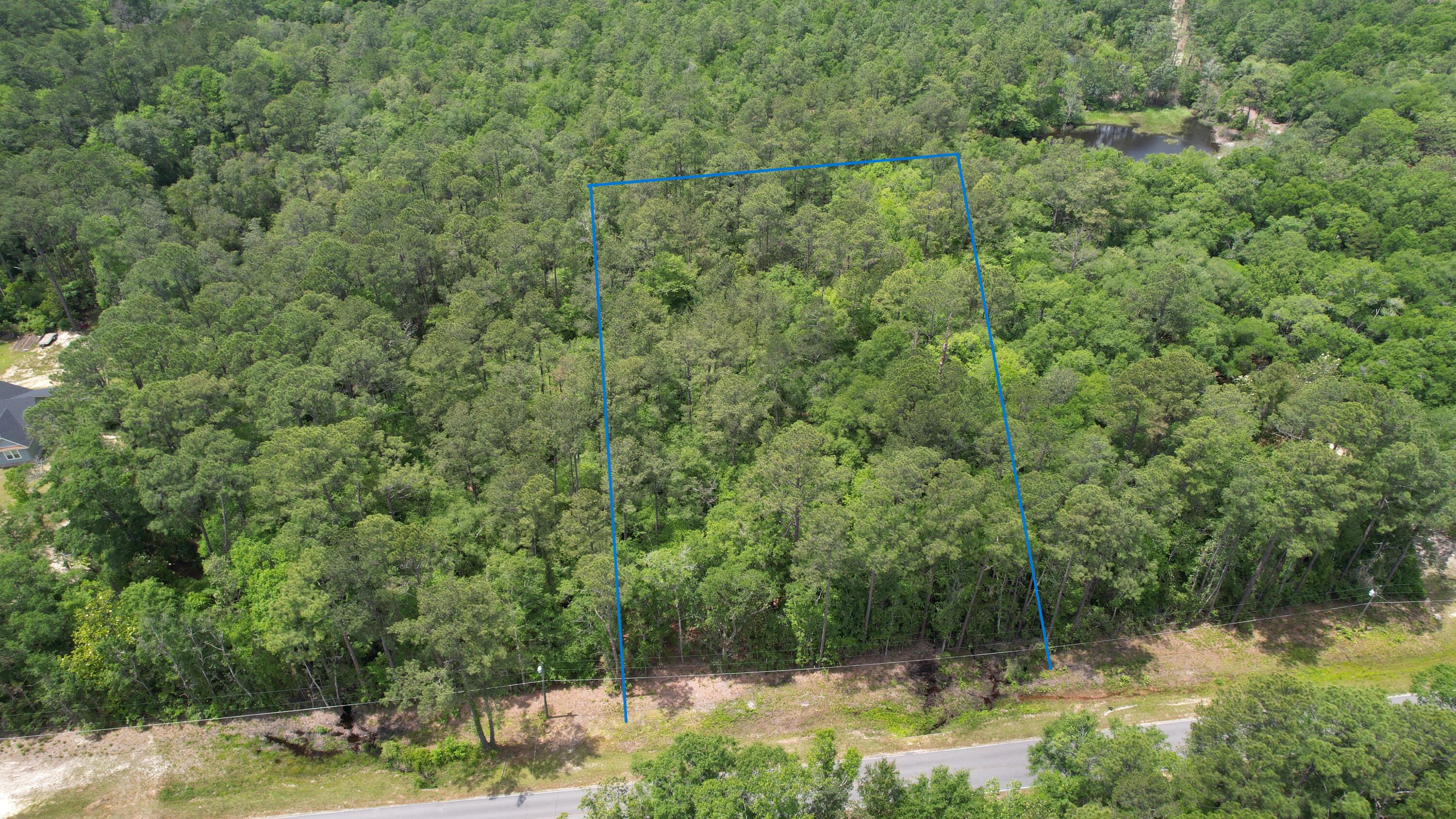 0 Old River Road Baker, FL 32531 - Photo 1 of 2 a view of a forest with a house in background