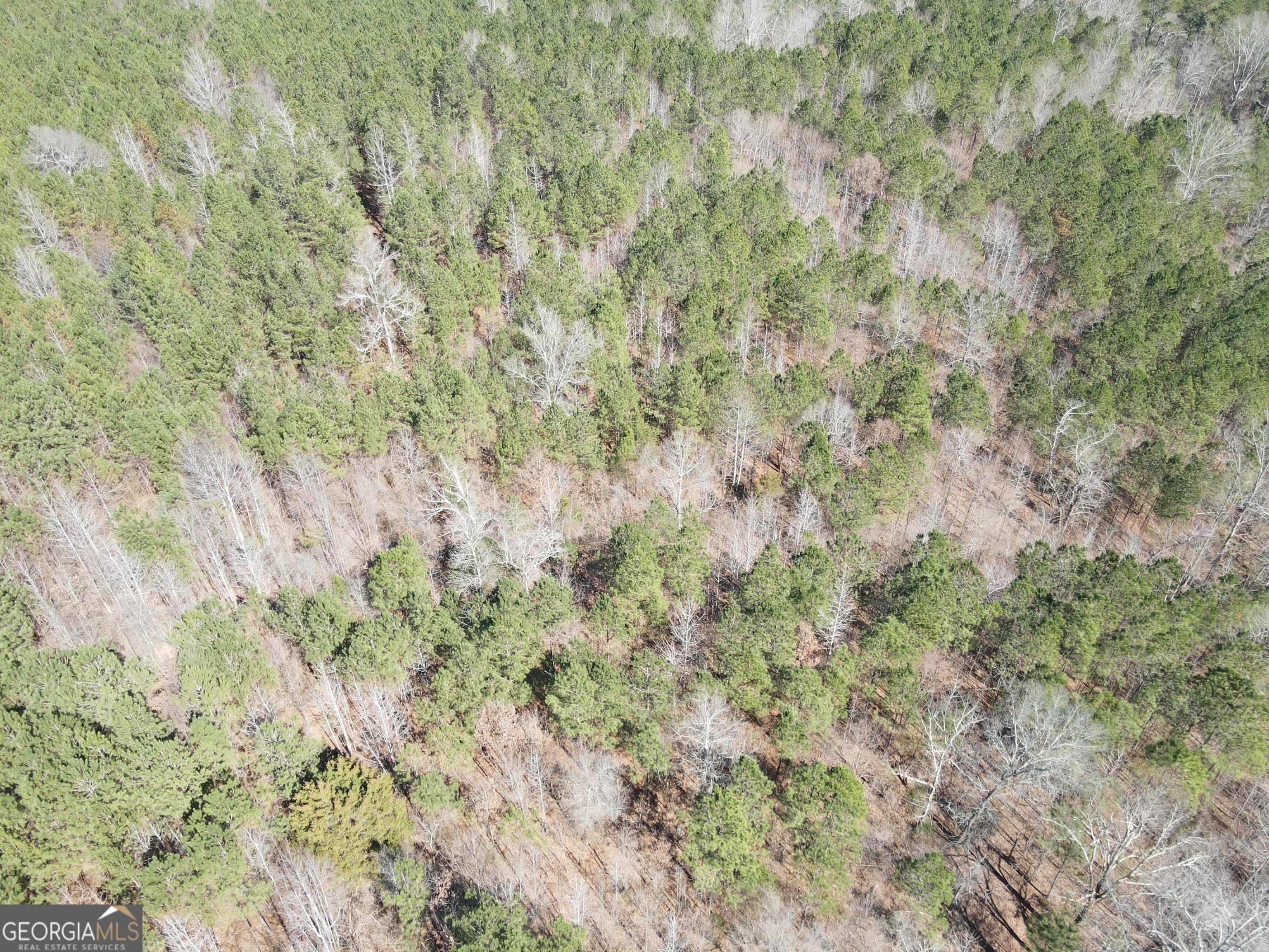 0 Old Rico Road Palmetto, GA 30268 - Photo 13 of 22 Gallery Image 13