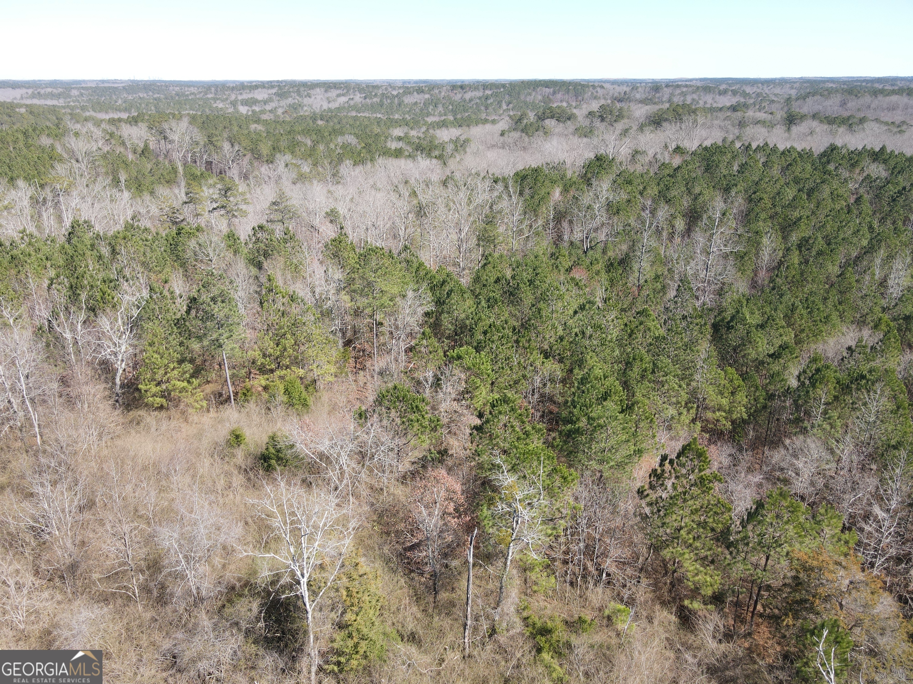 0 Old Rico Road Palmetto, GA 30268 - Photo 22 of 22 Gallery Image 22