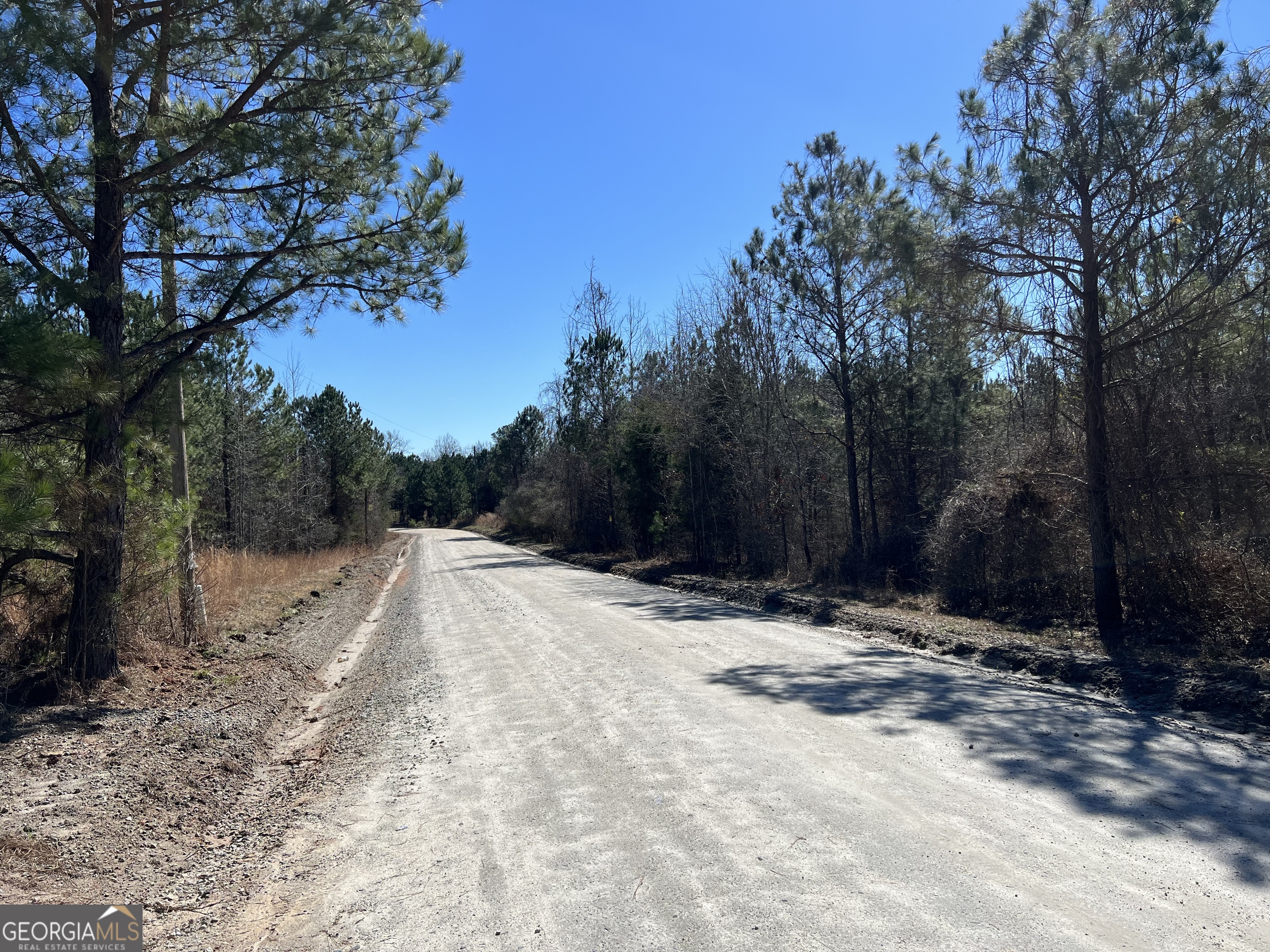 0 Old Rico Road Palmetto, GA 30268 - Photo 3 of 22 Gallery Image 3