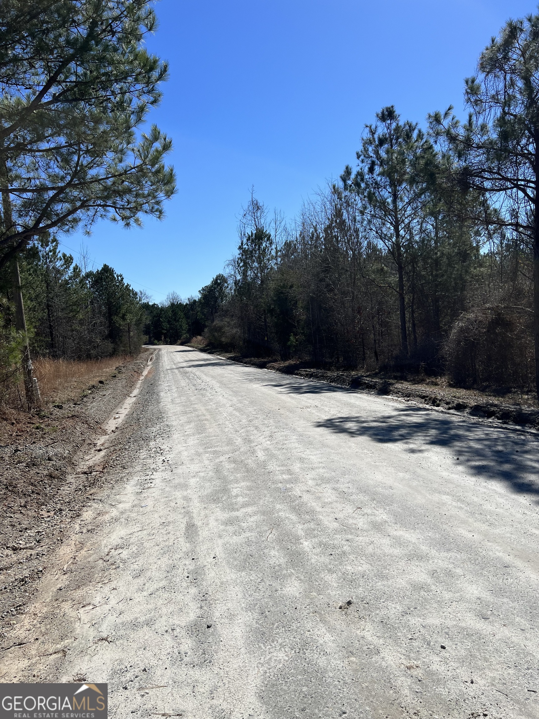 0 Old Rico Road Palmetto, GA 30268 - Photo 6 of 22 Gallery Image 6