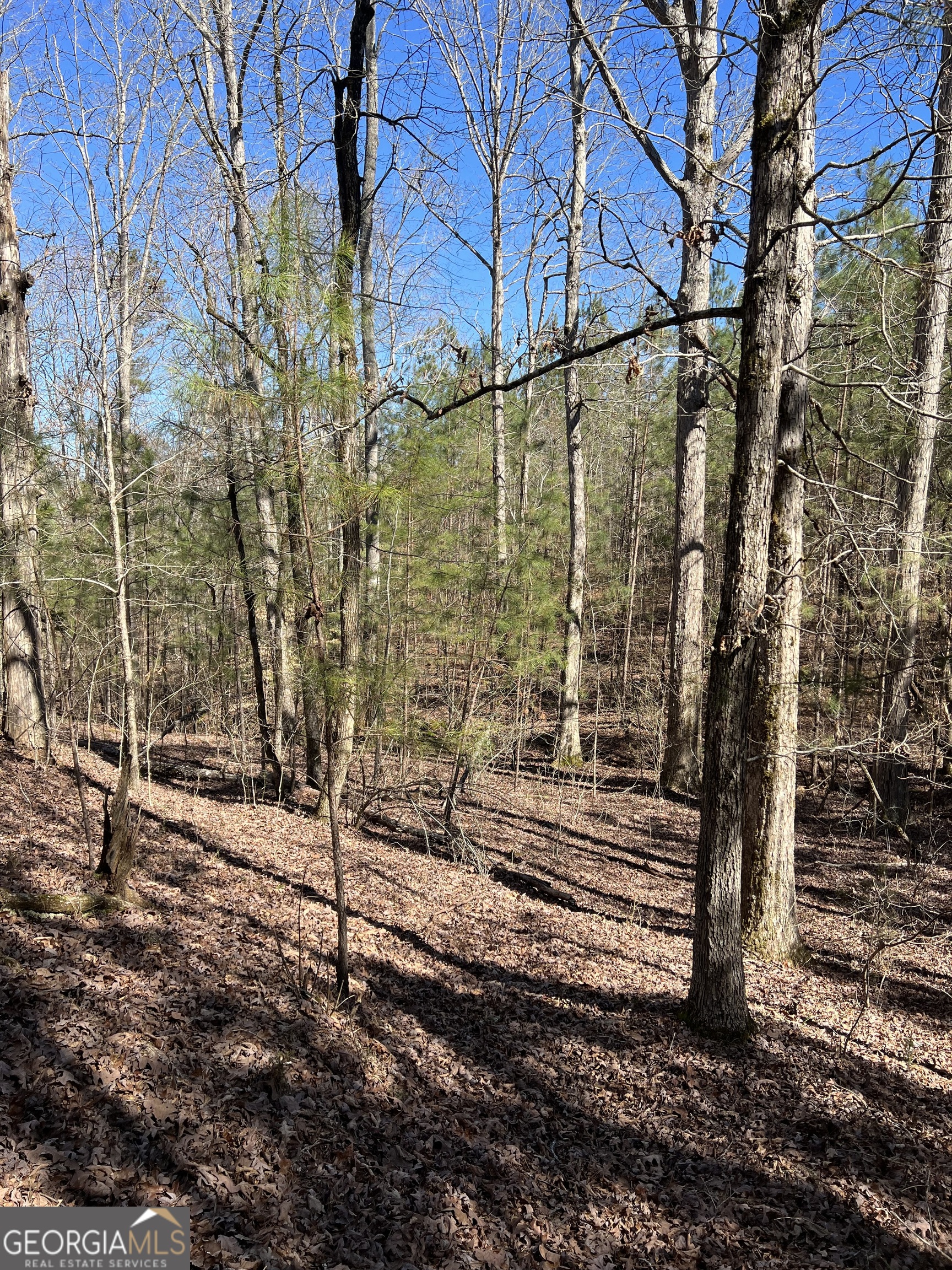 0 Old Rico Road Palmetto, GA 30268 - Photo 8 of 22 Gallery Image 8