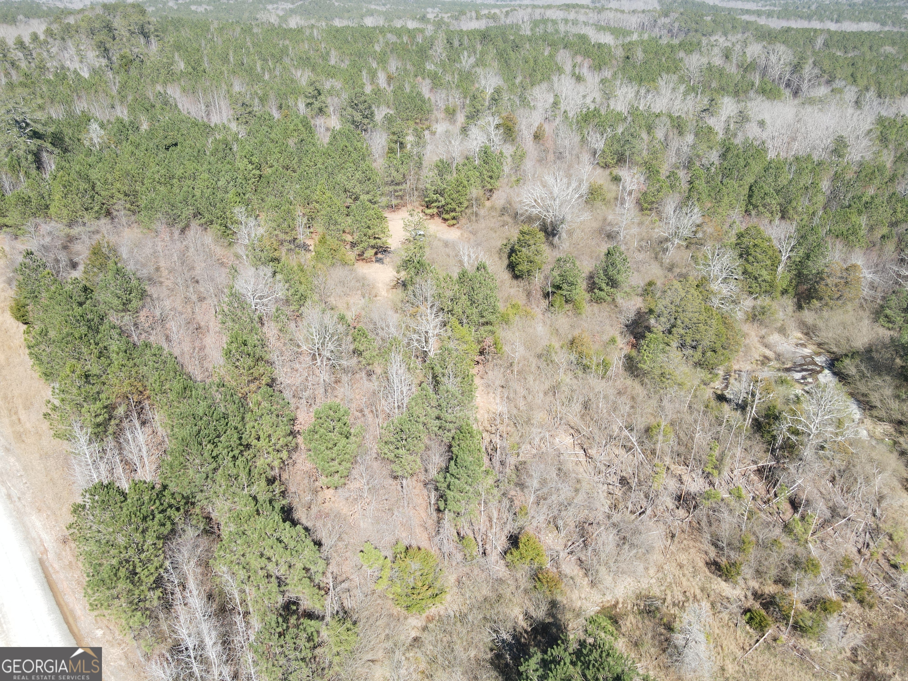 0 Old Rico Road Palmetto, GA 30268 - Photo 10 of 22 Gallery Image 10