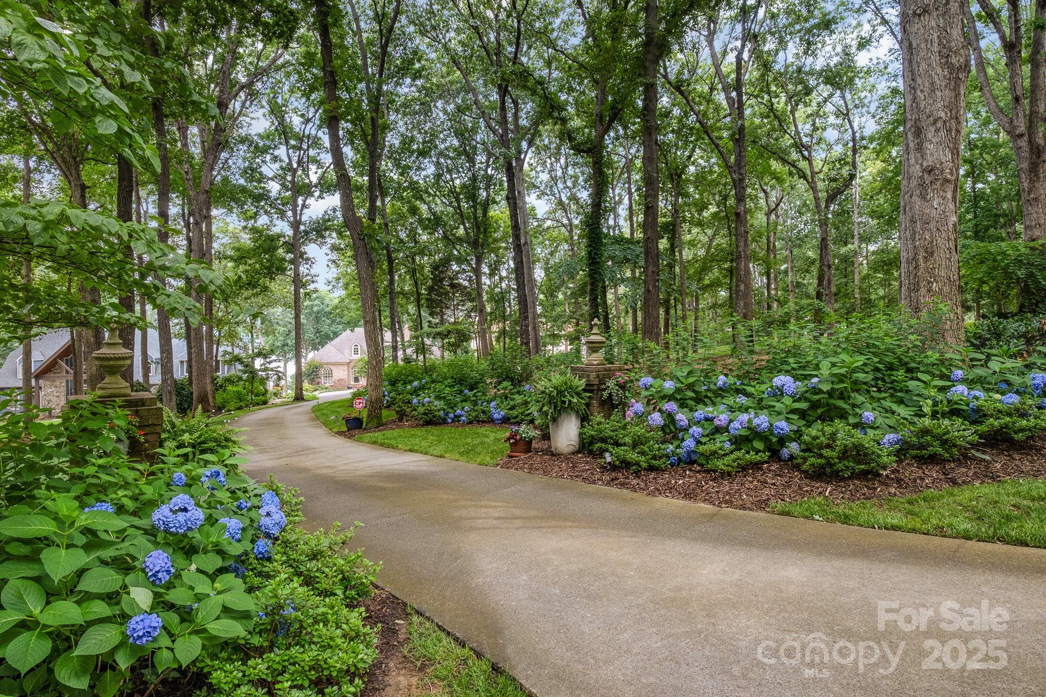 16133 North Point Road Huntersville, NC 28078 - Photo 5 of 48 a view of a garden with flower plants and large trees