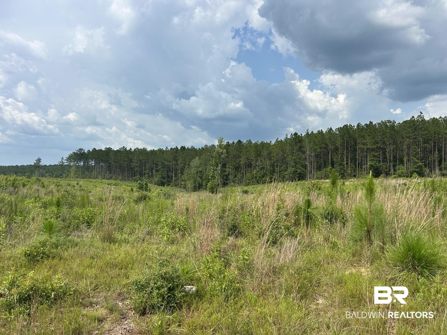 0 Bradley Road Andalusia, AL 36420 - Photo 2 of 6 Gallery Image 2