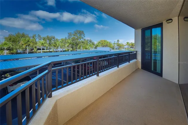 a view of a patio with table and chairs potted plants and palm tree