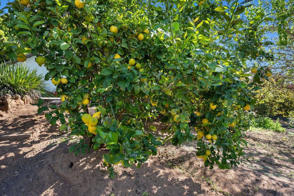 3819 Foxglove Lane Fallbrook, CA 92028 - Photo 34 of 48