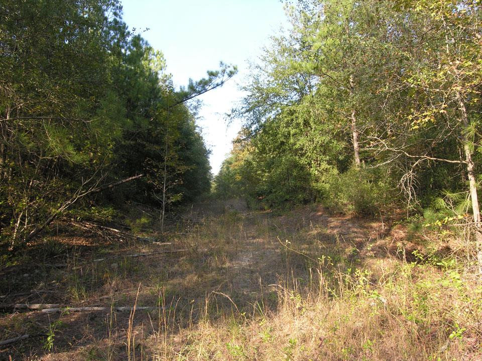 Na Perkins Mill Road Keysville, GA 30816 - Photo 1 of 3 Main View