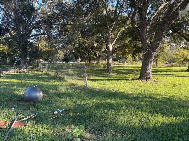 a view of a yard with trees