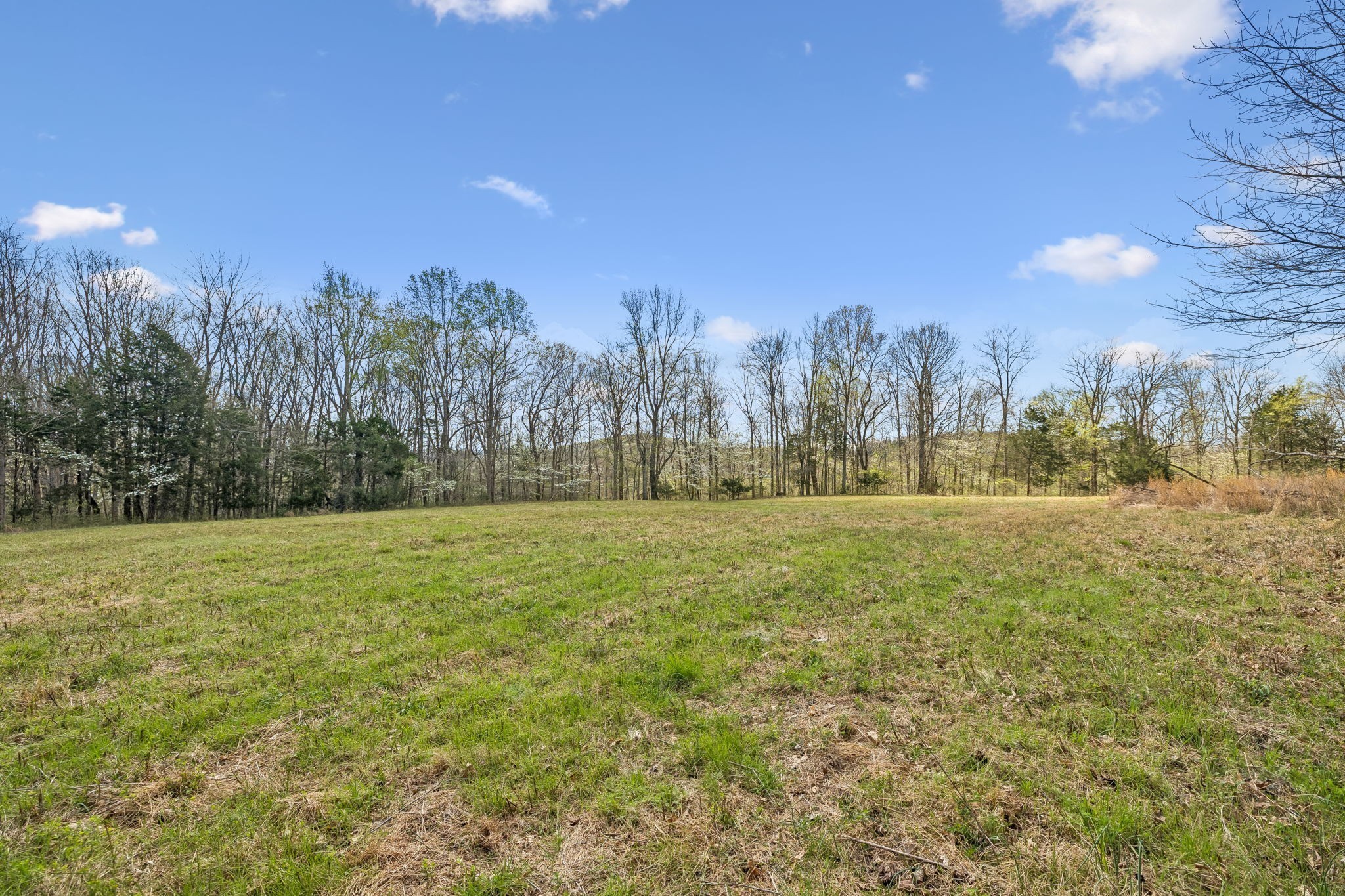 0 Turney Road Auburntown, TN 37016 - Photo 13 of 46 Gallery Image 13