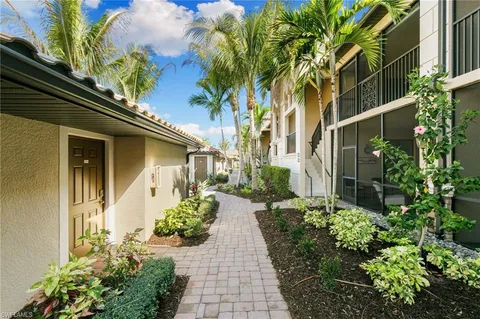a view of a backyard with potted plants