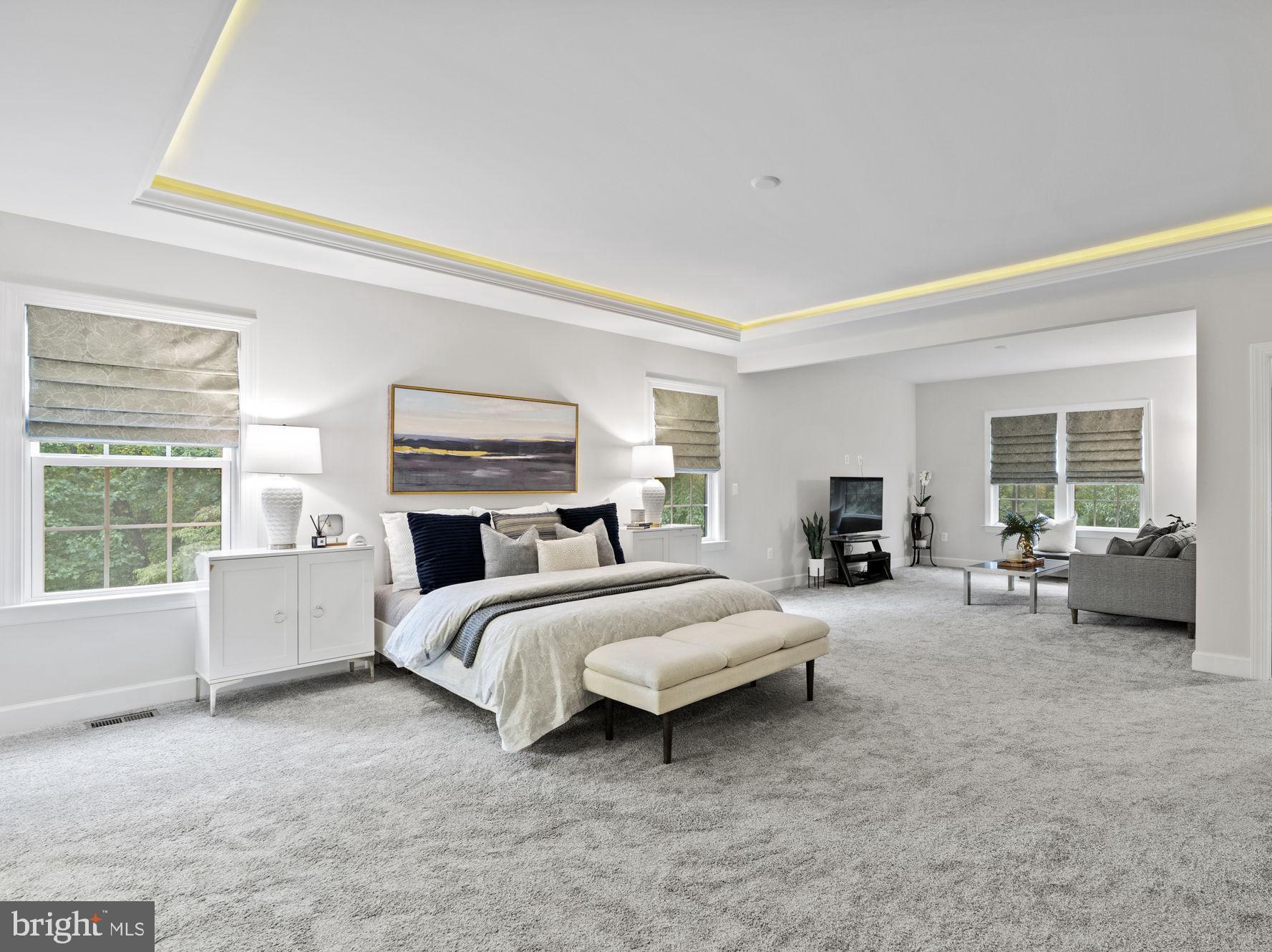 447 Springvale Road Great Falls, VA 22066 - Photo 15 of 33