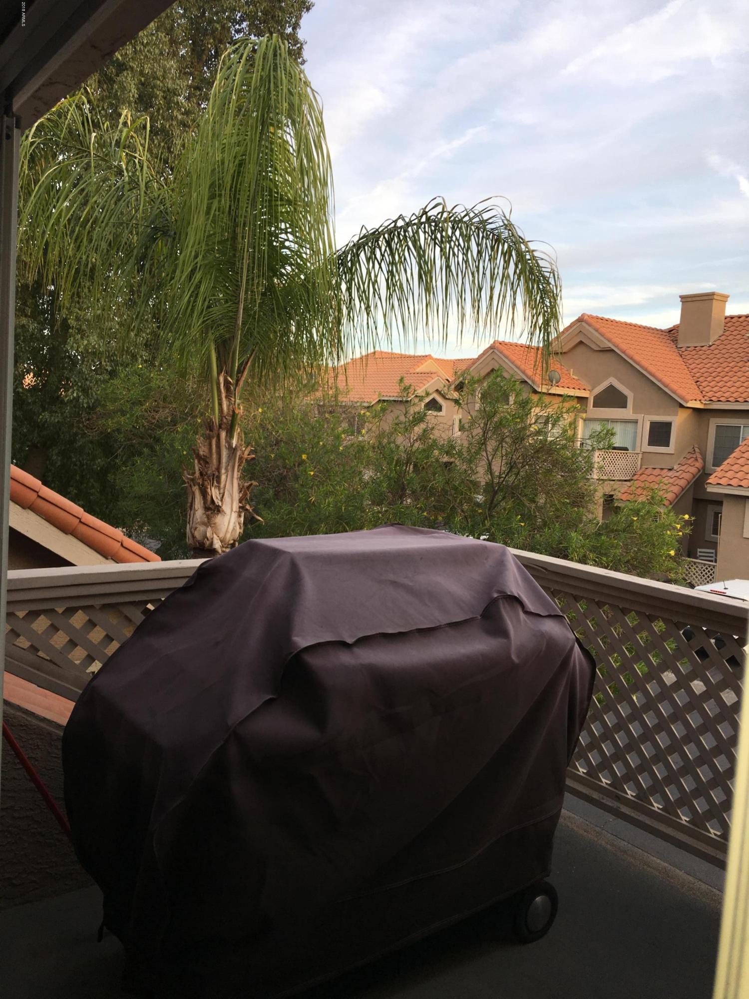 1633 East Lakeside Drive, Unit 51 Gilbert, AZ 85234 - Photo 14 of 32 IMG_1715