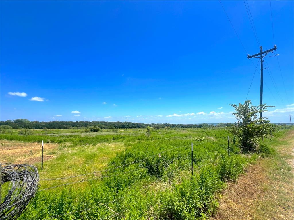 Lot 3 Southeast County Road Corsicana, TX 75109 - Photo 6 of 13 Gallery Image 6