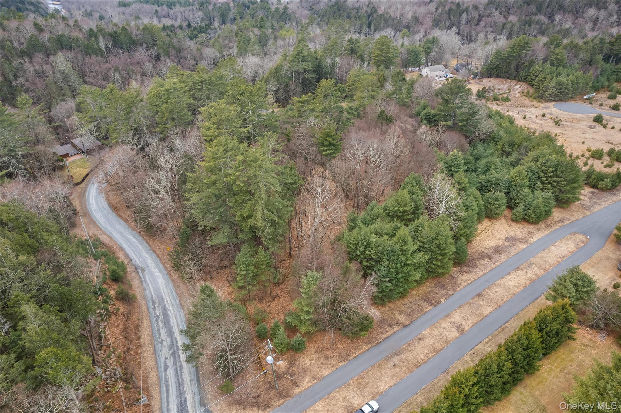 a view of a forest with a yard