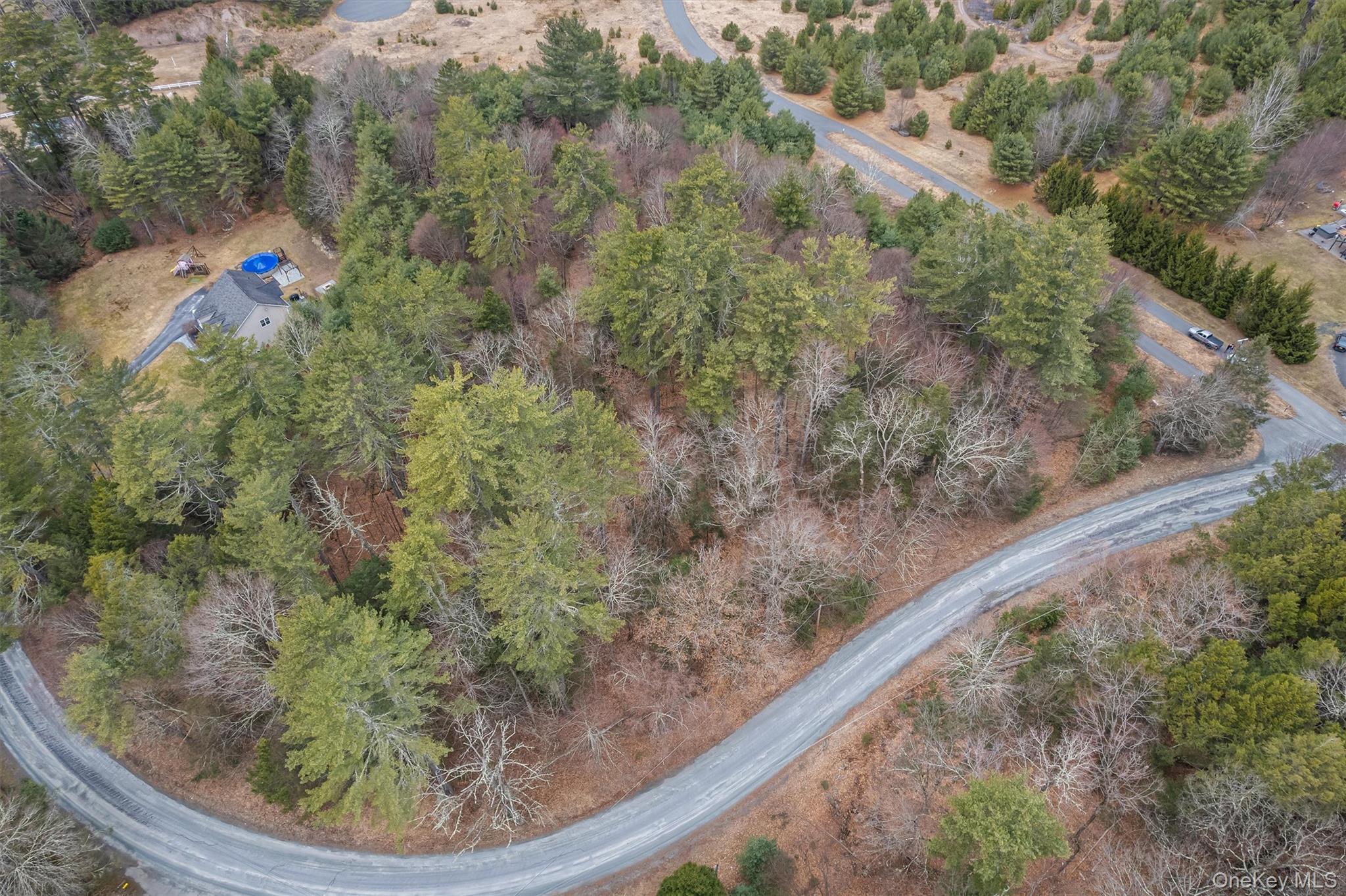 Lot 4 Marsh Road Fallsburg, NY 12733 - Photo 3 of 9 a view of a forest from a window