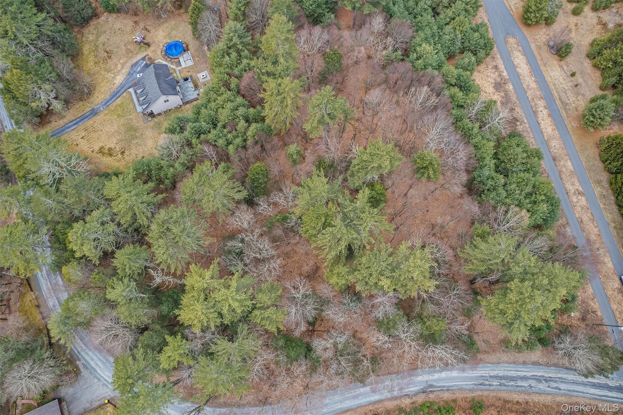 Lot 4 Marsh Road Fallsburg, NY 12733 - Photo 4 of 9 a aerial view of a house with lots of trees