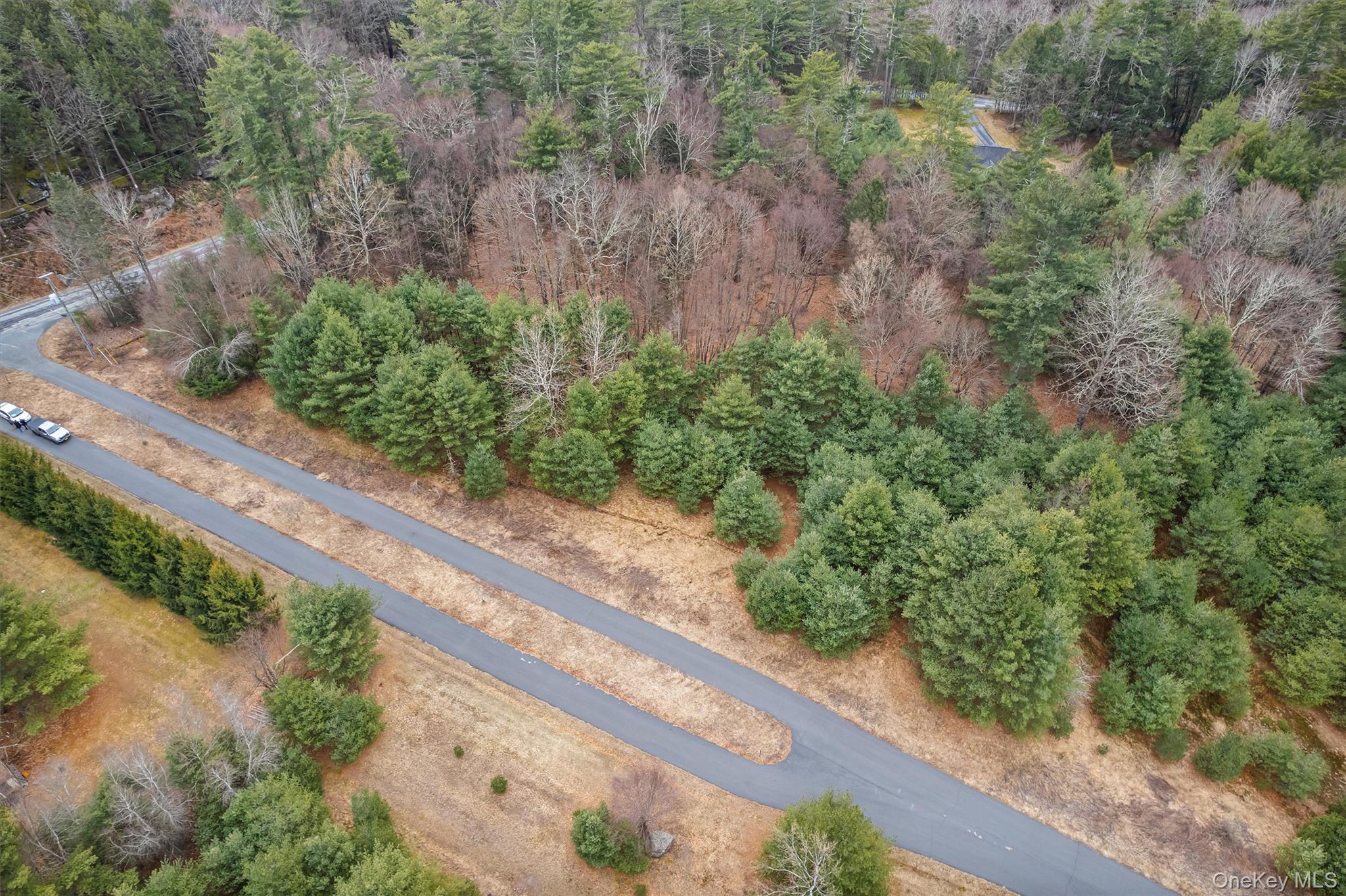 Lot 4 Marsh Road Fallsburg, NY 12733 - Photo 7 of 9 a view of a yard with pathway