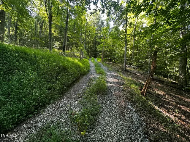 $140,000 | Tbd Clinch Mountain Road, Eidson, TN 37731