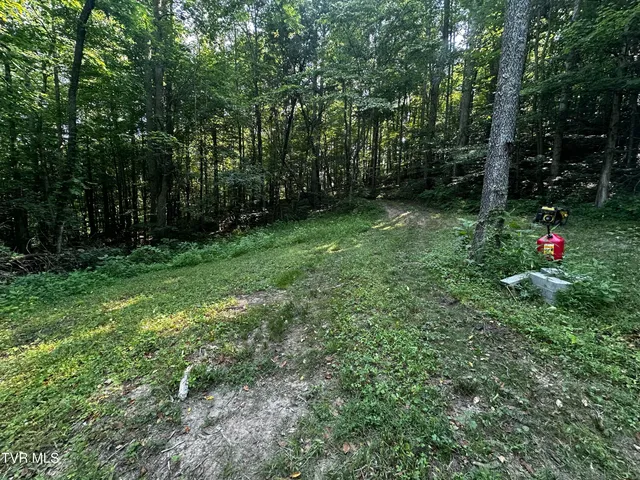 $140,000 | Tbd Clinch Mountain Road, Eidson, TN 37731