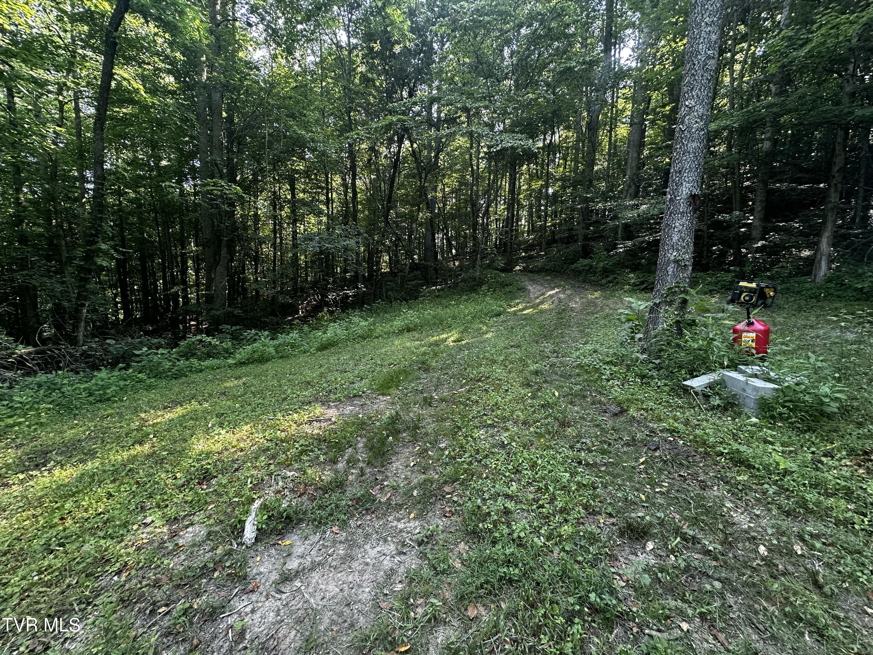 Tbd Clinch Mountain Road Eidson, TN 37731 - Photo 11 of 46 IMG_6607