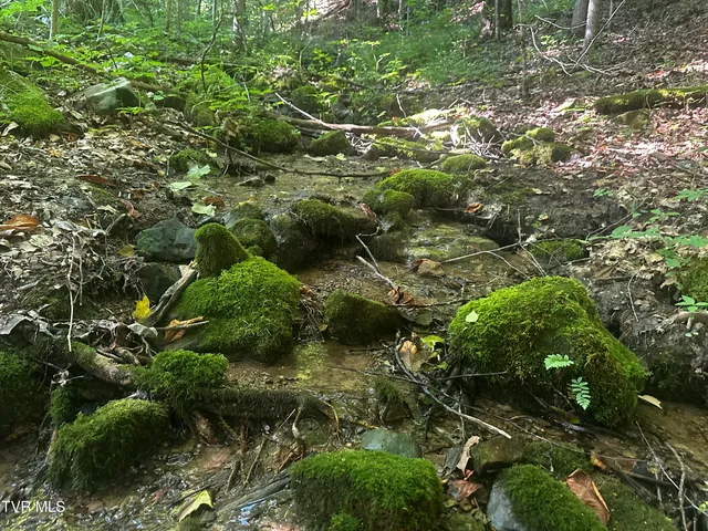 $140,000 | Tbd Clinch Mountain Road, Eidson, TN 37731