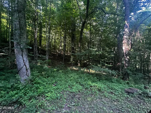 $140,000 | Tbd Clinch Mountain Road, Eidson, TN 37731