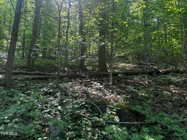 $140,000 | Tbd Clinch Mountain Road, Eidson, TN 37731