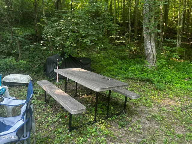 $140,000 | Tbd Clinch Mountain Road, Eidson, TN 37731