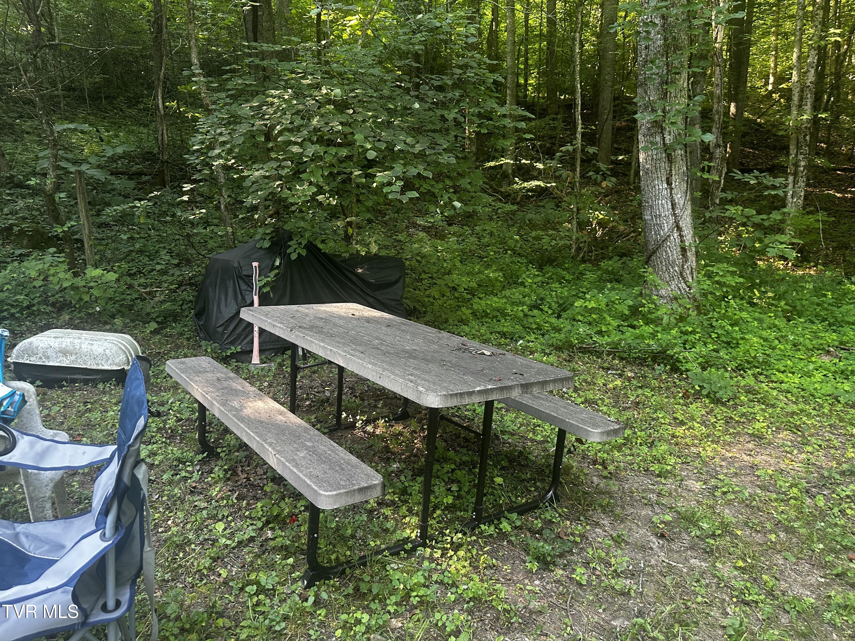 Tbd Clinch Mountain Road Eidson, TN 37731 - Photo 16 of 46 IMG_6602