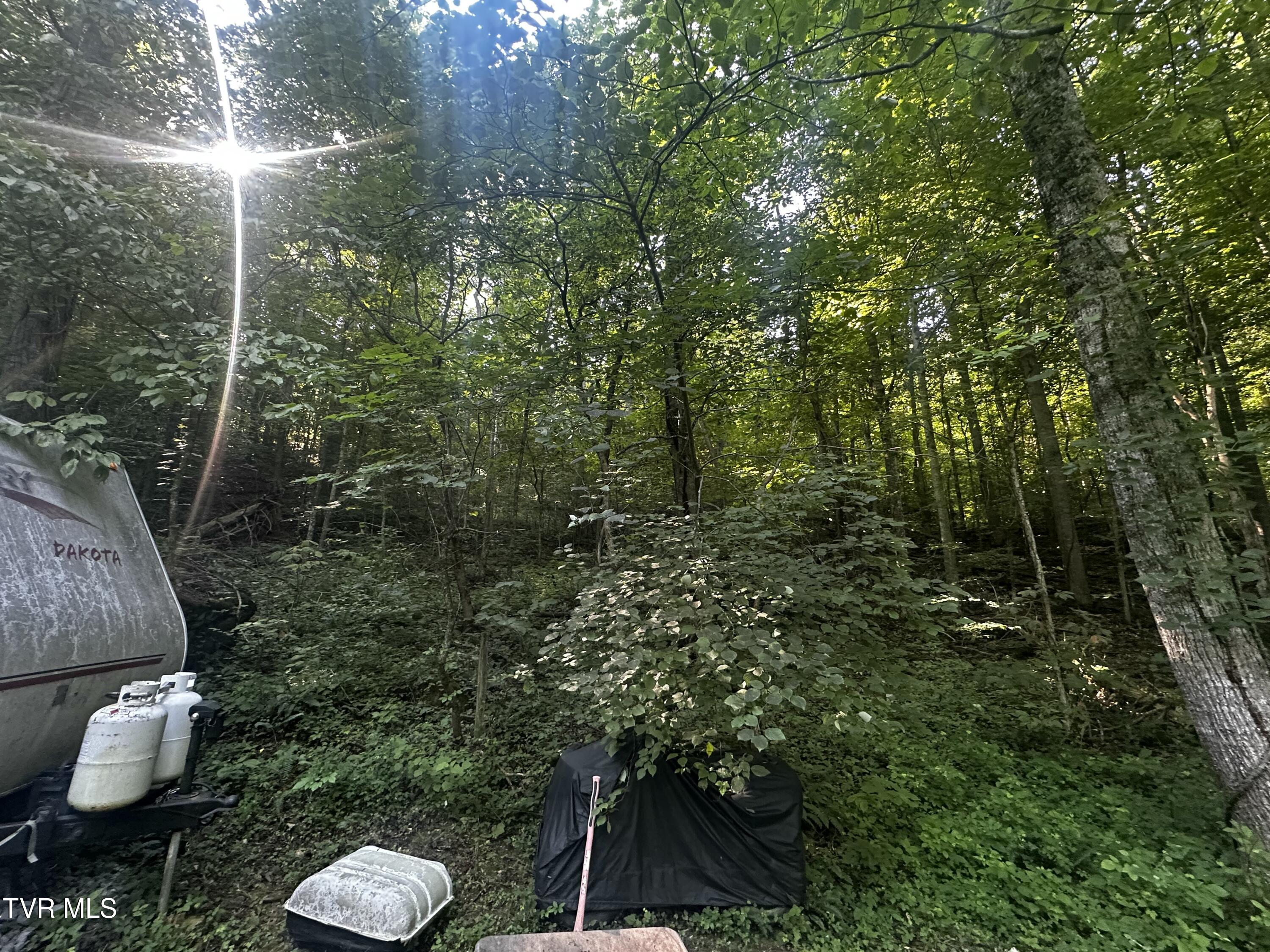 Tbd Clinch Mountain Road Eidson, TN 37731 - Photo 17 of 46 IMG_6603