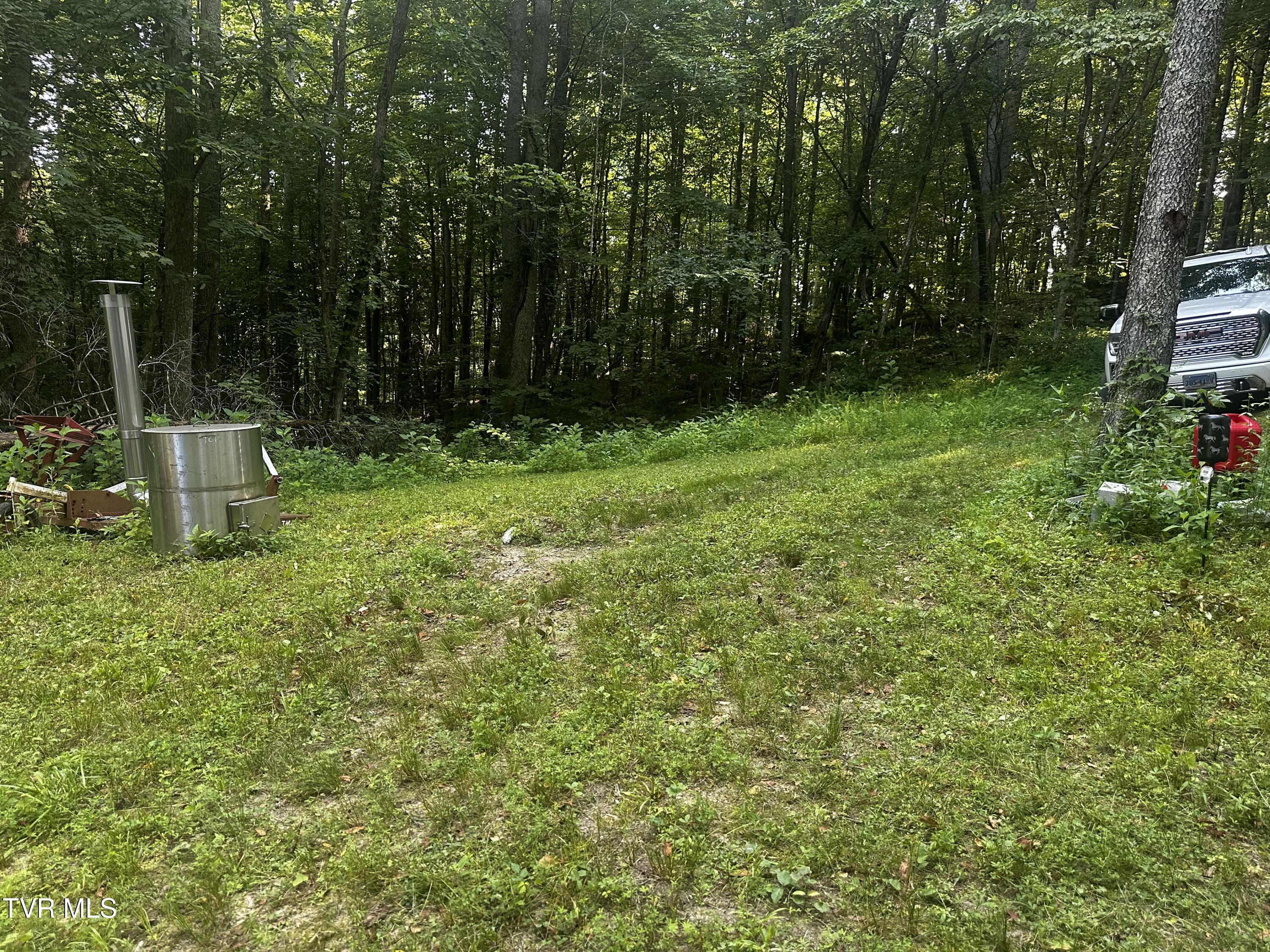 Tbd Clinch Mountain Road Eidson, TN 37731 - Photo 20 of 46 IMG_6597