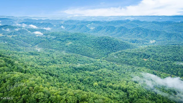 $140,000 | Tbd Clinch Mountain Road, Eidson, TN 37731
