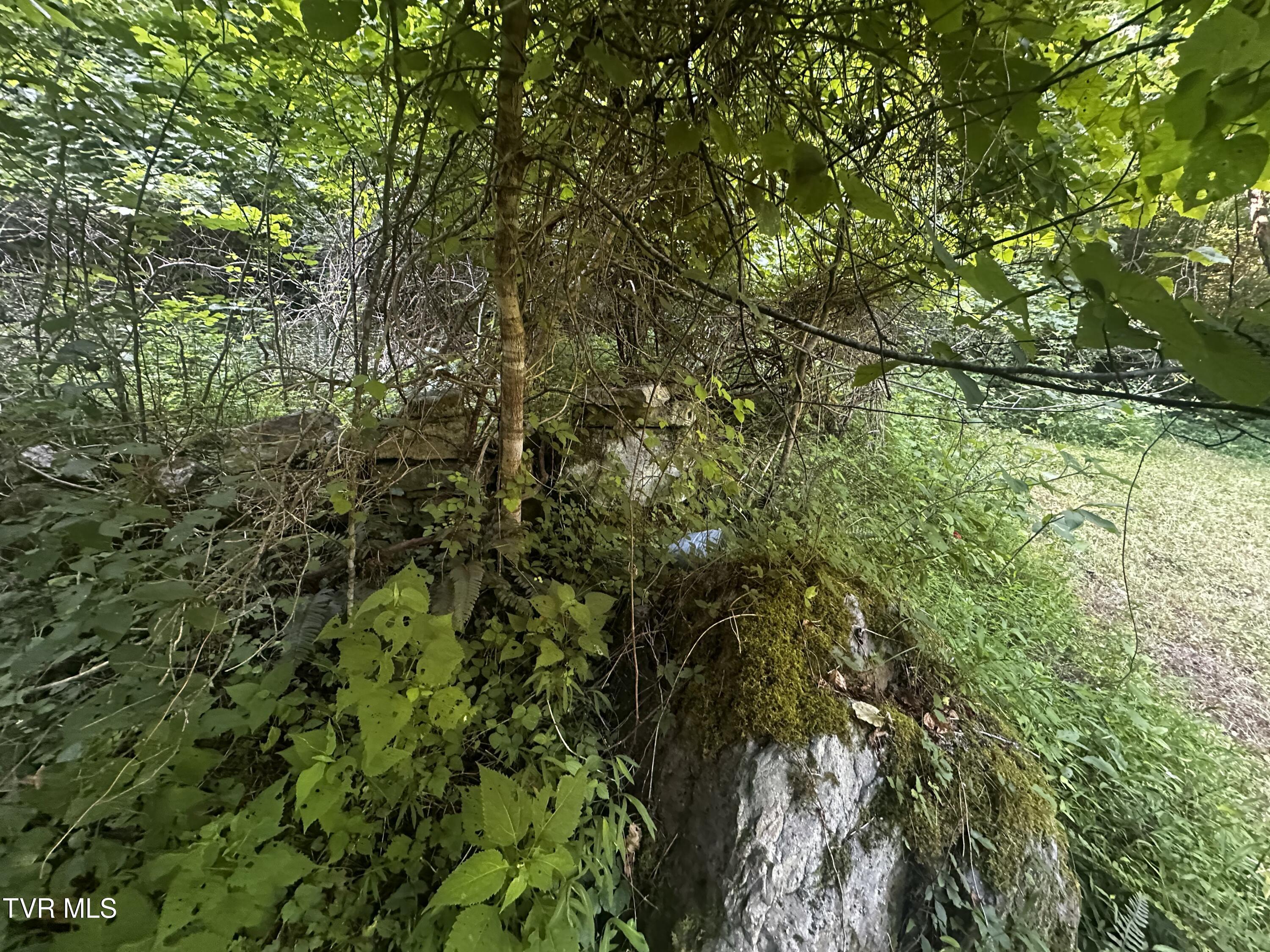 Tbd Clinch Mountain Road Eidson, TN 37731 - Photo 25 of 46 IMG_6586