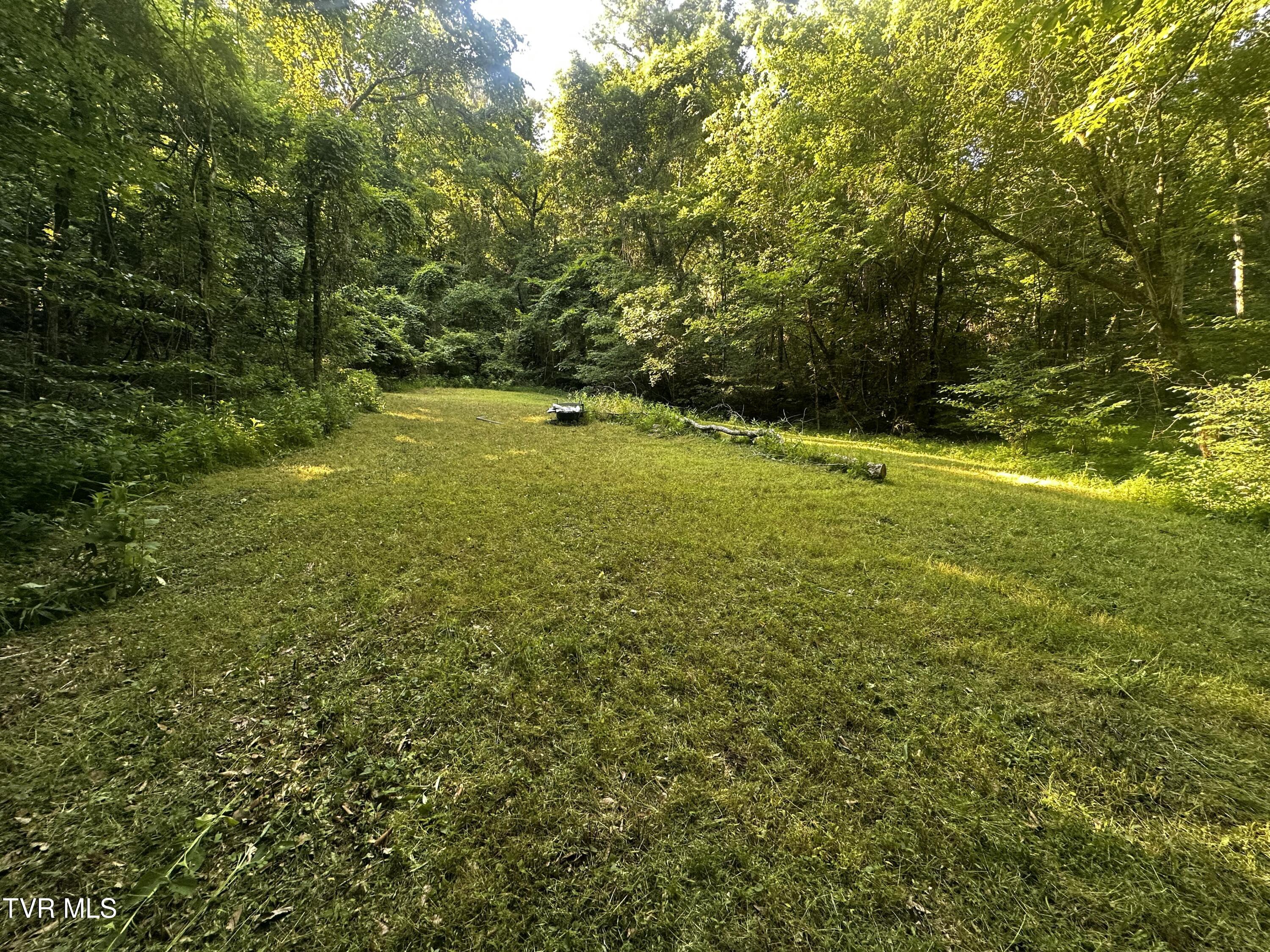 Tbd Clinch Mountain Road Eidson, TN 37731 - Photo 26 of 46 IMG_6585