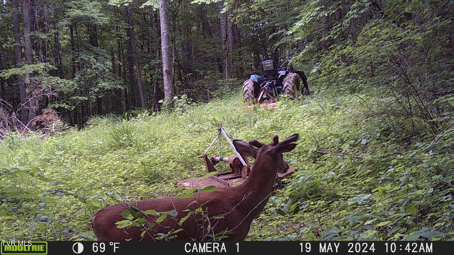 Tbd Clinch Mountain Road Eidson, TN 37731 - Photo 30 of 46 MFDC0238