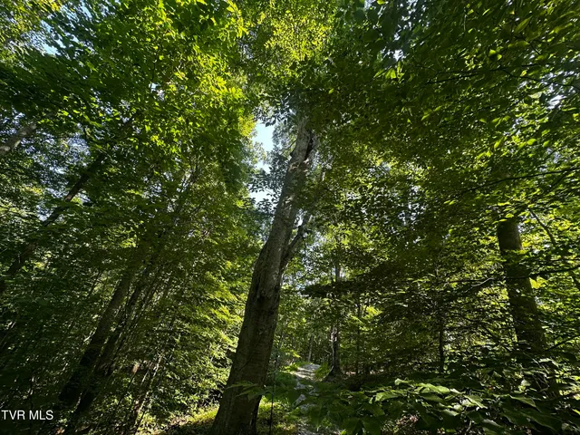 $140,000 | Tbd Clinch Mountain Road, Eidson, TN 37731