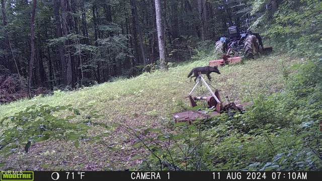 $140,000 | Tbd Clinch Mountain Road, Eidson, TN 37731