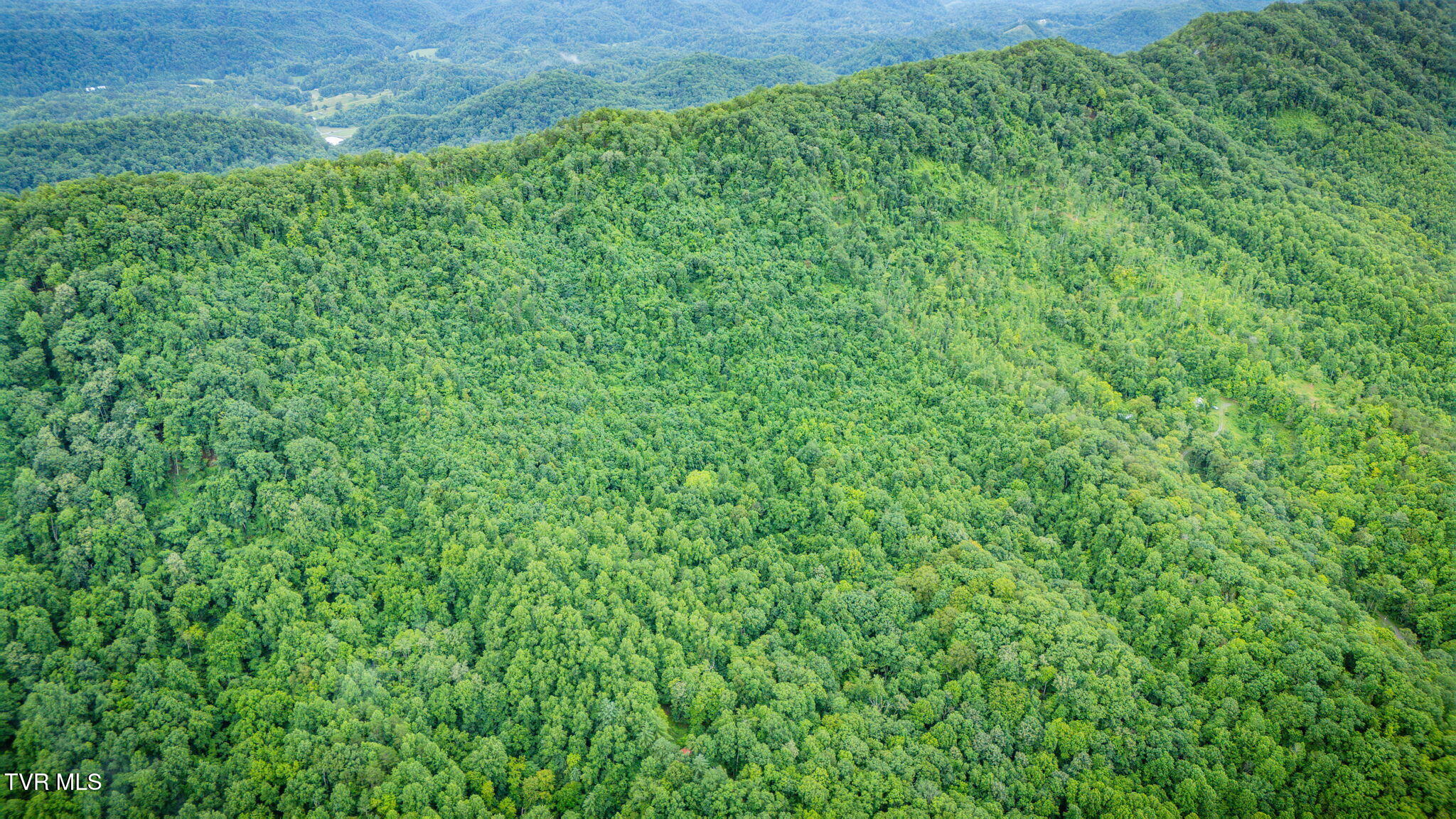 Tbd Clinch Mountain Road Eidson, TN 37731 - Photo 35 of 46 102