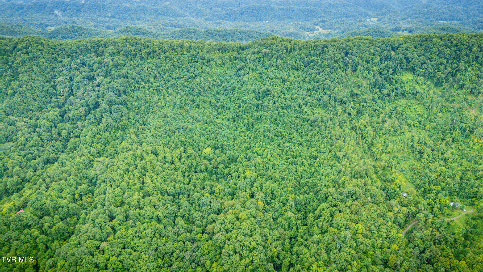 Tbd Clinch Mountain Road Eidson, TN 37731 - Photo 36 of 46 103