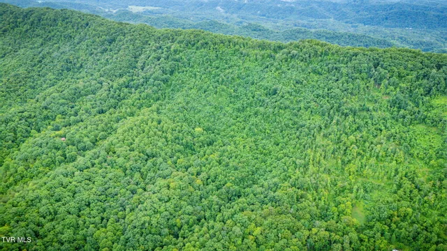 $140,000 | Tbd Clinch Mountain Road, Eidson, TN 37731