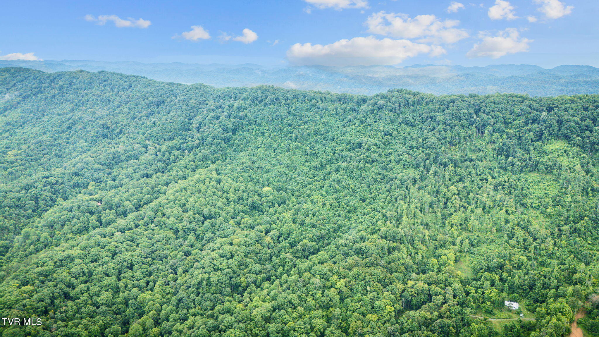 Tbd Clinch Mountain Road Eidson, TN 37731 - Photo 38 of 46 105