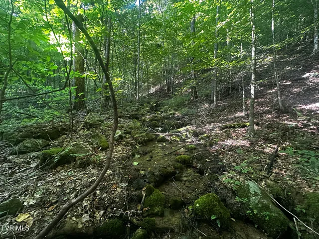$140,000 | Tbd Clinch Mountain Road, Eidson, TN 37731