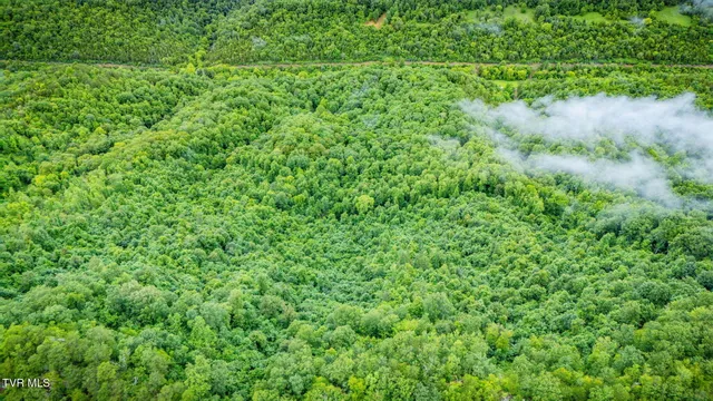 $140,000 | Tbd Clinch Mountain Road, Eidson, TN 37731