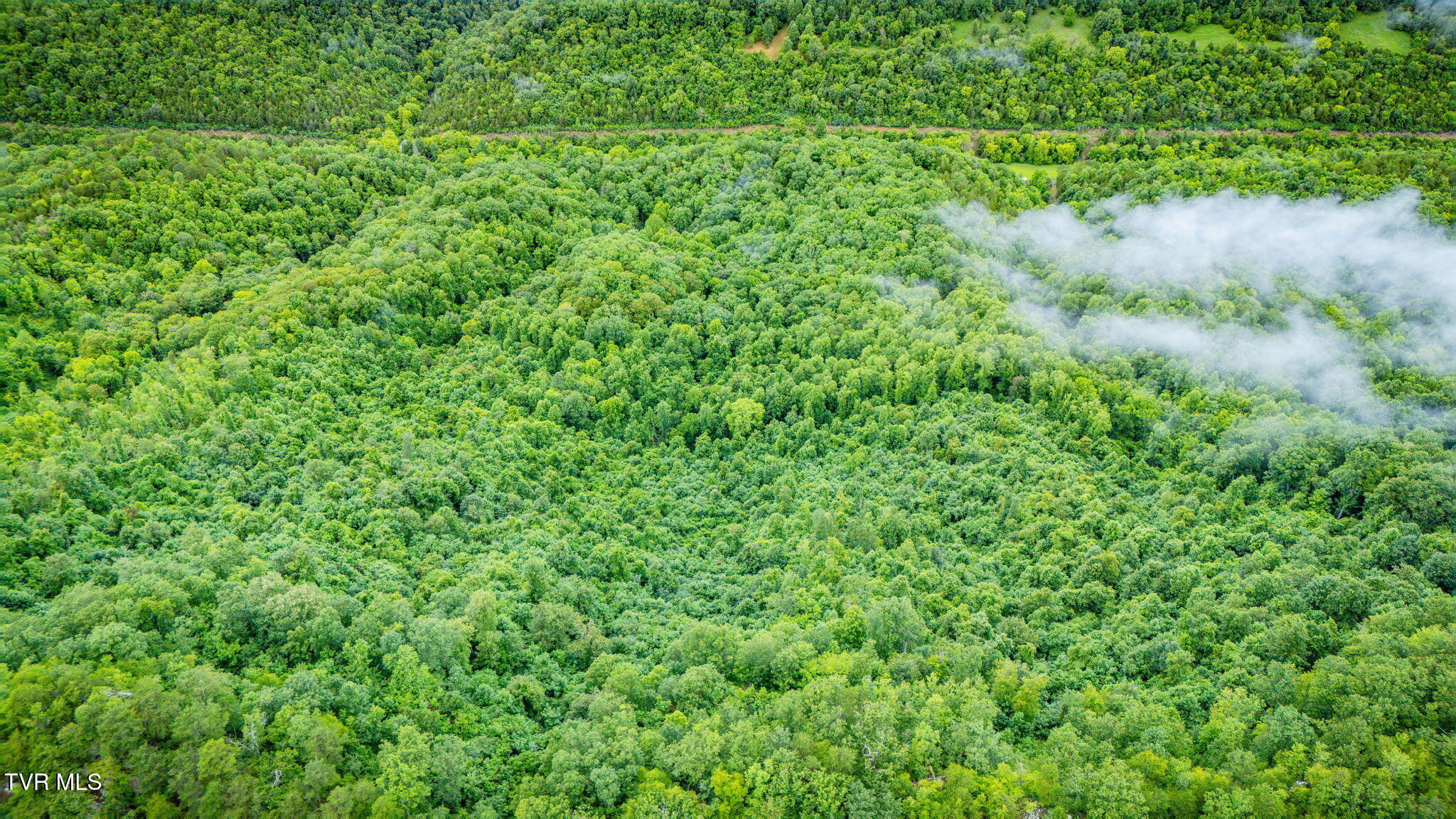 Tbd Clinch Mountain Road Eidson, TN 37731 - Photo 41 of 46 108