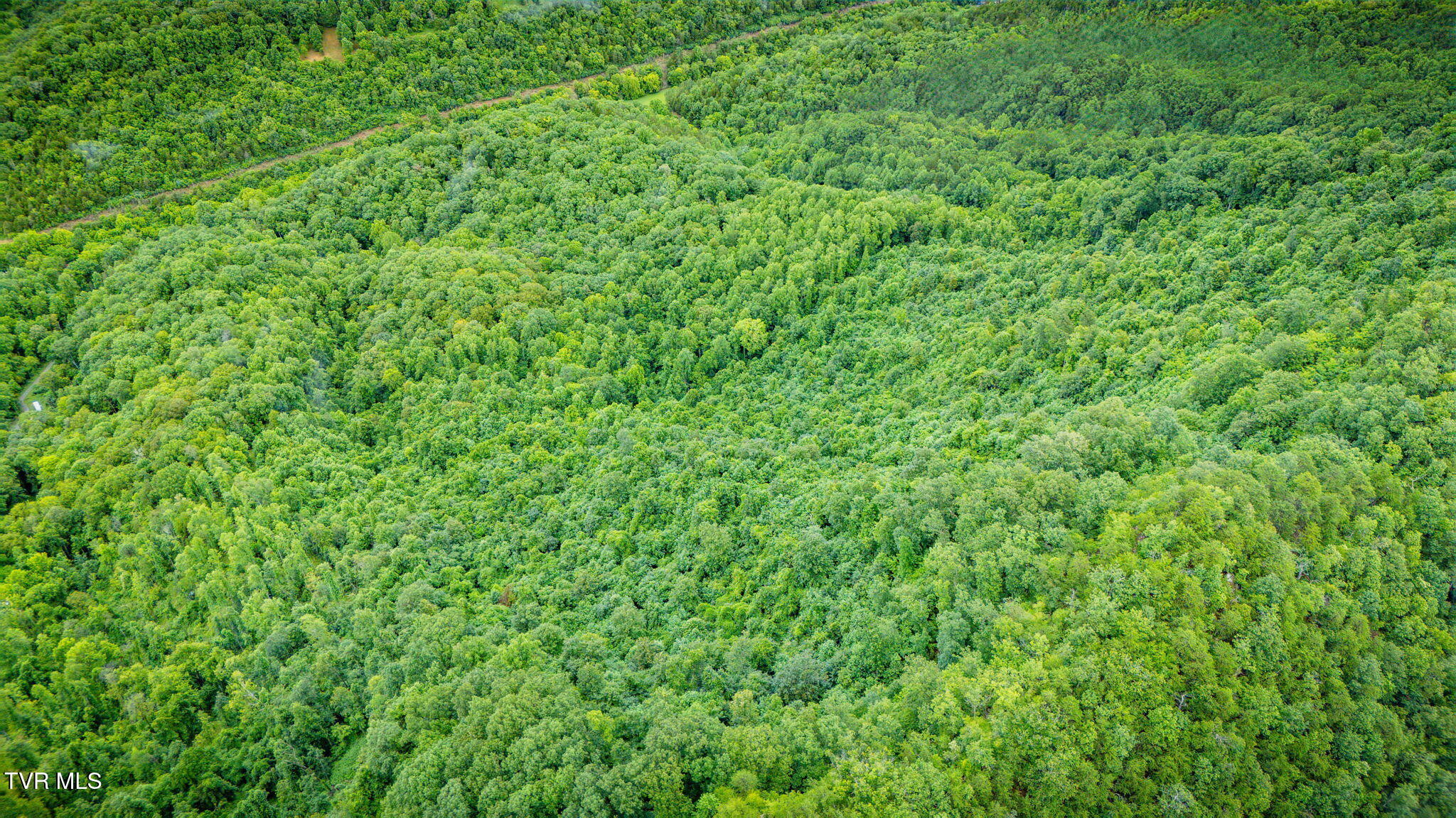 Tbd Clinch Mountain Road Eidson, TN 37731 - Photo 42 of 46 109