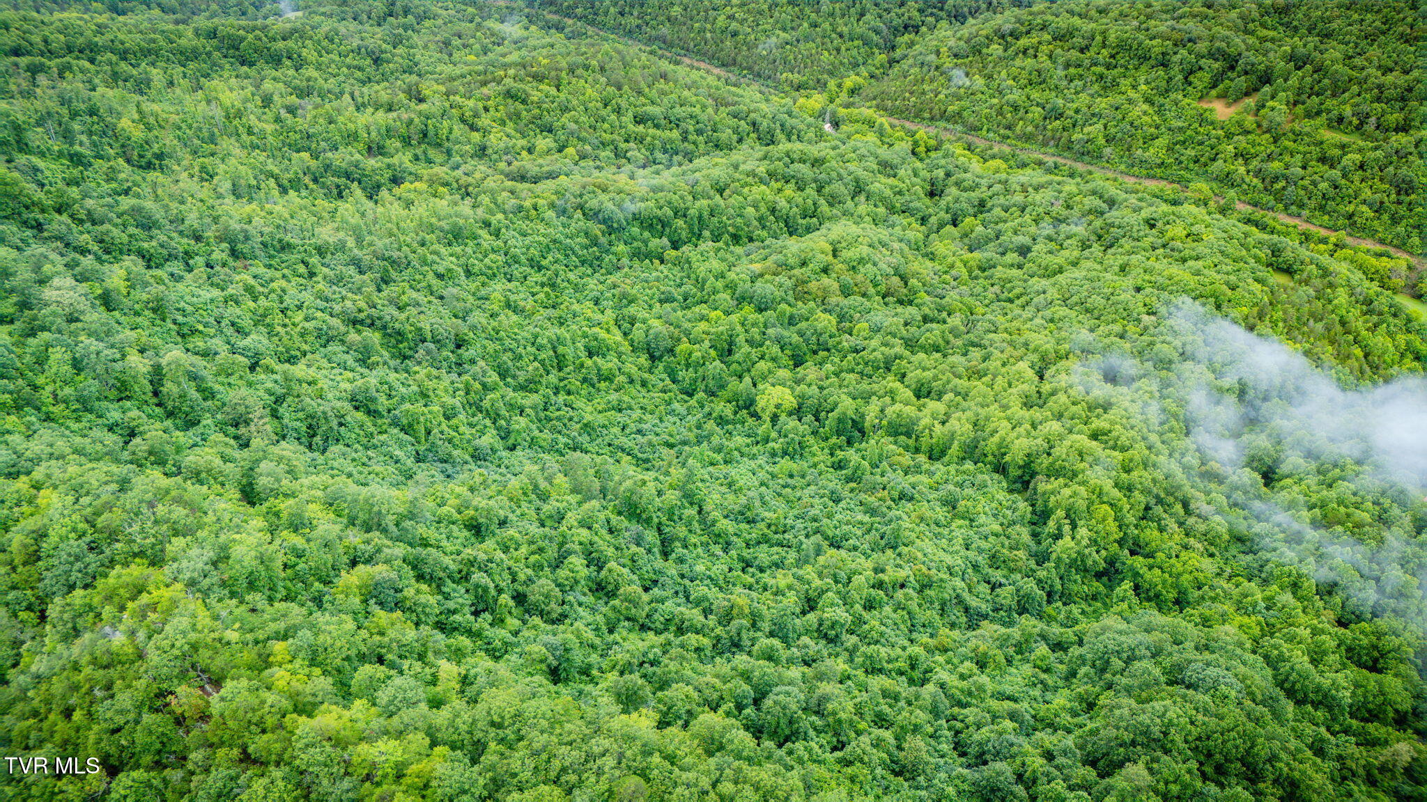 Tbd Clinch Mountain Road Eidson, TN 37731 - Photo 43 of 46 110