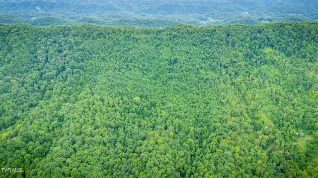 $140,000 | Tbd Clinch Mountain Road, Eidson, TN 37731