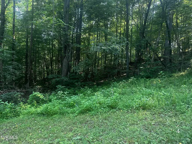 $140,000 | Tbd Clinch Mountain Road, Eidson, TN 37731